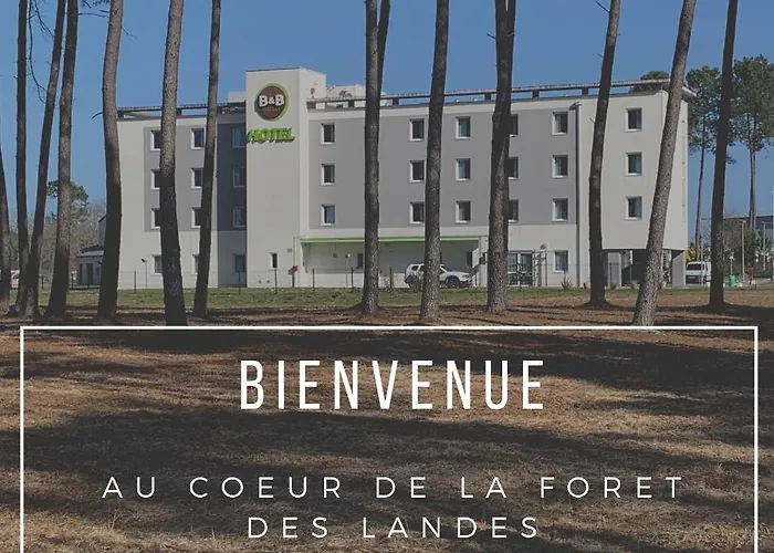 Mont-de-marsan Saint-Avit (Landes)