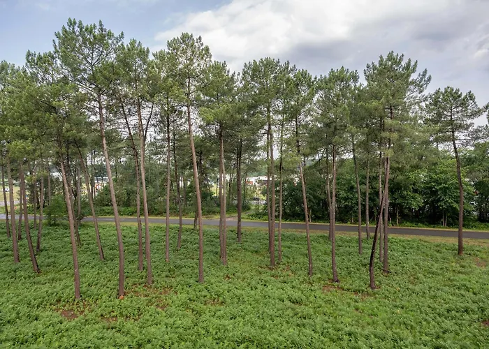 Mont-de-marsan 2* Saint-Avit (Landes)